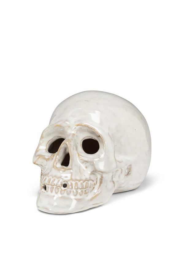 White ceramic skull on a white background
