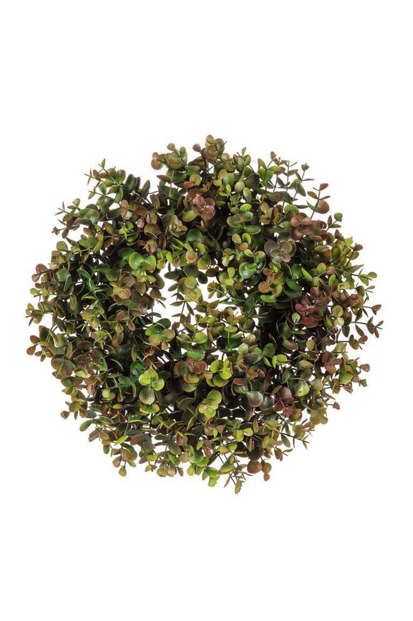 Red & Green Boxwood Wreath | 14"