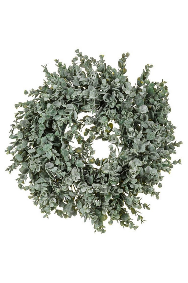 Frost Boxwood Wreath | 14"
