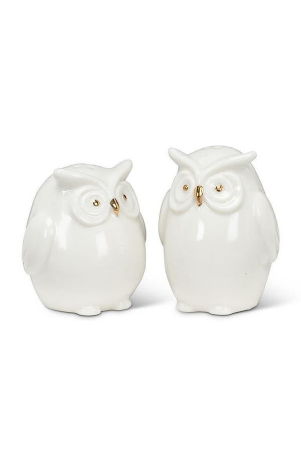 Owl Salt and Pepper Set