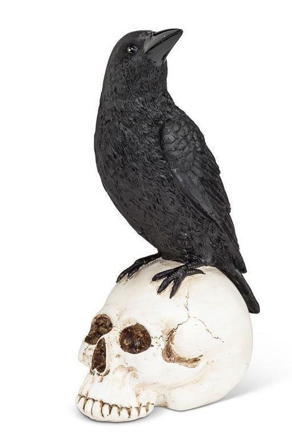 Raven On Skull