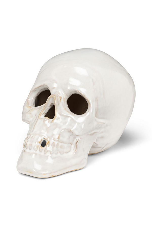 White ceramic skull on a white background
