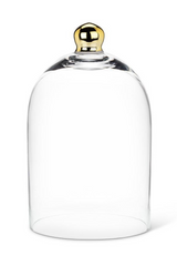 Gold Accent Cloche | Large