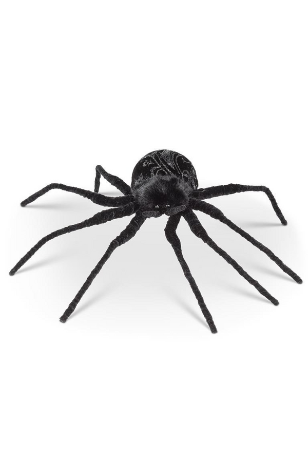 Black spider decoration on a white background