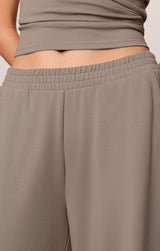 In Transit Modal Pant | Wild Mushroom