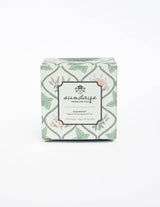 Sundays Tea | Spearmint