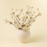 Pear Blossom Branch