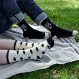 Pima Socks 2 Pack | Not For Sale