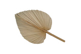 Palm Leaf | Large {Pick Up Only}