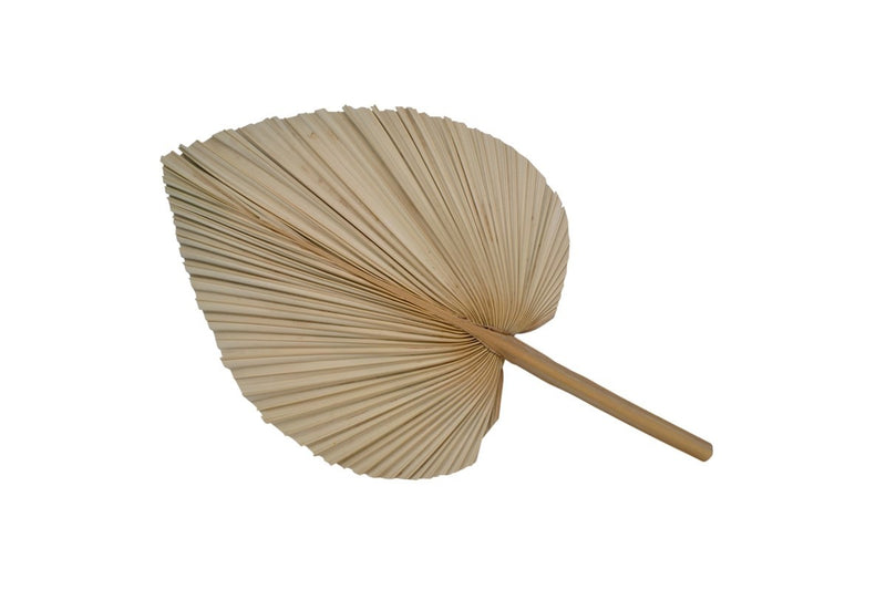 Palm Leaf | Large {Pick Up Only} - FINAL SALE