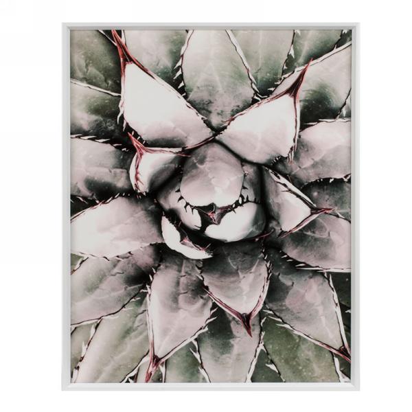 Wall Art | Succulent - FINAL SALE